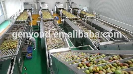 Apple Peeler Machine Pear Pitting Machine