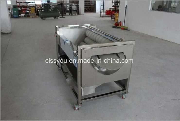 China Industrial Brush Type Root Vegetable Washing Peeling Machine