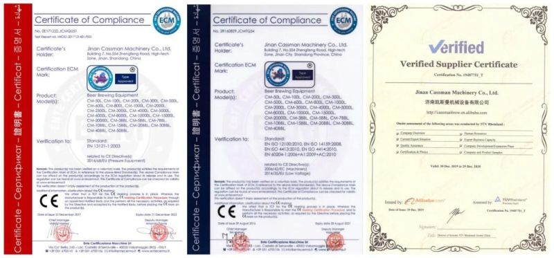 Cassman Turnkey Project SUS304 1000L Germany Brewery Equipment with Ce Certificate