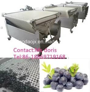 Blueberry Sorter/ Strawberry Sorter/ Bilberry Grading Machine