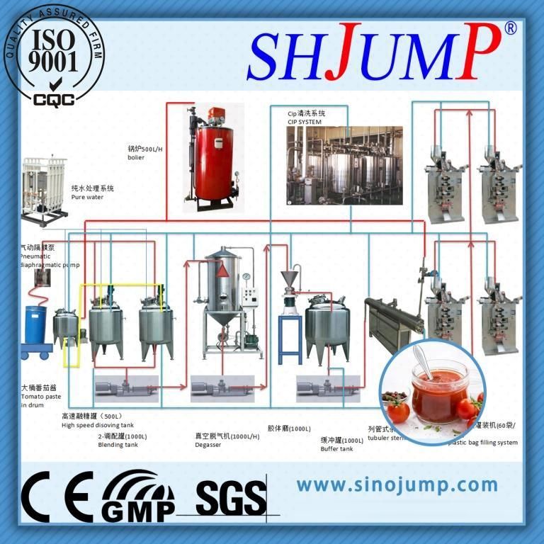 500kg Per Hour Tomato Paste Processing Machine