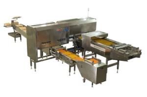 Automatic Packing Machine of 36000 Eggs/Hour