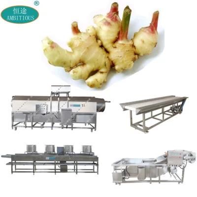 Vegetable Processing Line Ginger Production Line Ginger Washing Plant