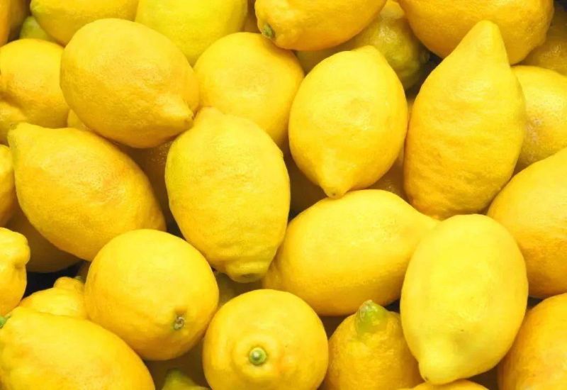 Air Dryer Electric Dewatering Machines Lemon Fruit Dehydrator Drying Machine