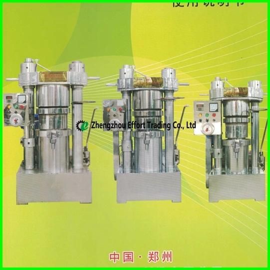 Easy Operation Stainless Steel Hydraulic Cold Oil Press for Sesame/Walnuts/Pine Nuts