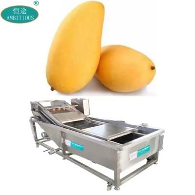 Fruits Washer Bubble Washing Machinery Mango Washing Machine