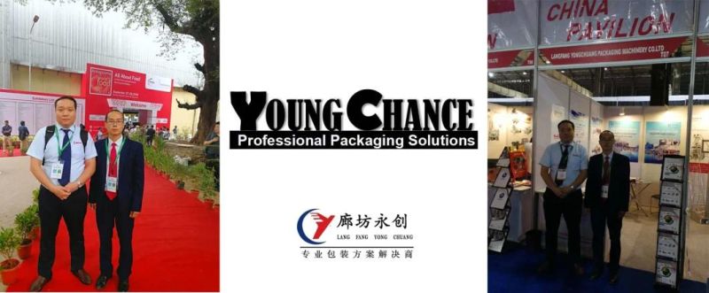 Young Chance Pack Automatic Water Stacking Palletizing Packing Machine