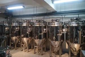 Brewing System Brewery Equipment Beer Fermenting Turnkey Plant 1000L 2000L