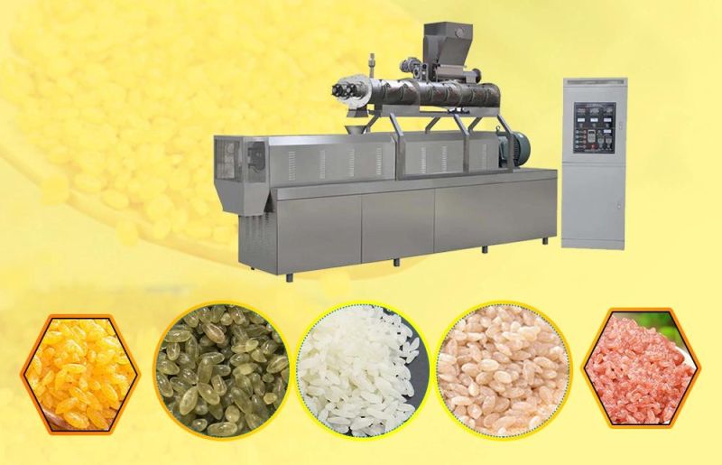 Artificial Fortified Nutritional Rice Twin Screw Extruder Making Processing Machine Production Line