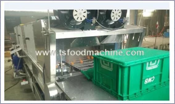 Big Food Factory Use Fruit and Vegetable Plastic Tray Washing Machine