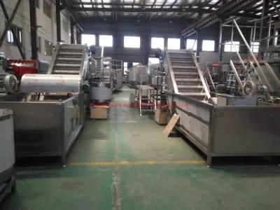 Full-Automatic Pineapple Puree Production Processing Line Machine