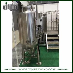 Professional Customized 300L Conical Unitank Fermenter for Beer Brewery Fermentation with ...