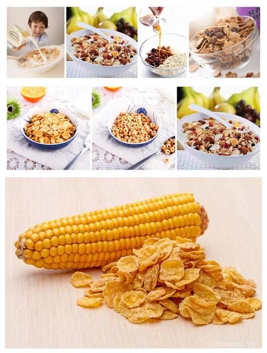 Food Grade Automatic Breakfast Cereal Production Line
