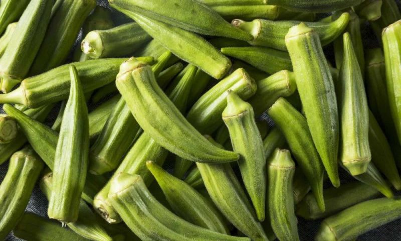 Water Spray Vegetables Washing Machine Water Jet Okra Bubble Washer