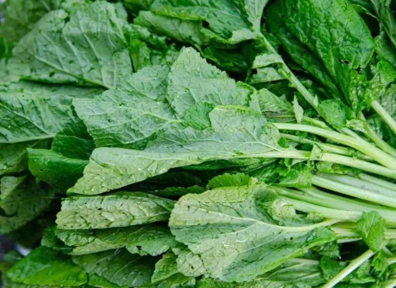 Production Line Vegetables Bubble Leafy Vegetable Fruit Washing Machine