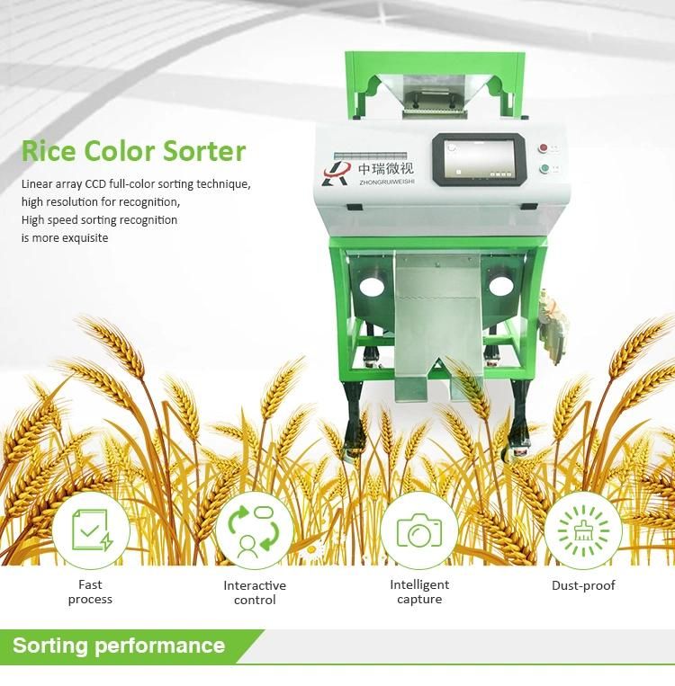 Paddy Seed Cleaner and Grader Rice Seed Cleaner