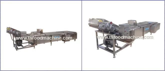 Fruit Vegetable Washer and Vegetable Bubble Washing Machine