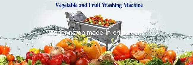 Stainless Steel Industrial Fruit and Vegetable Washing Machine