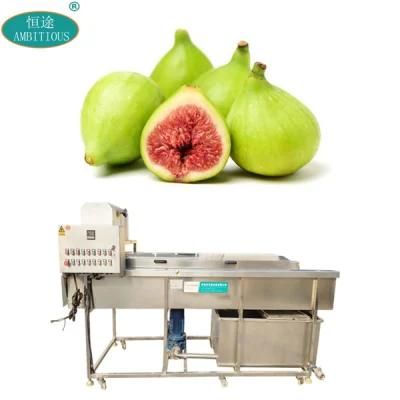 Fruits Bubble Washer Machinery Figs Washing Machine Fig Cleaning Machine