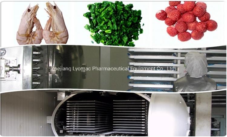 Hot Sale Industrial Fruit Dryer Machine Vegetable Food Vacuum Freeze Dryer