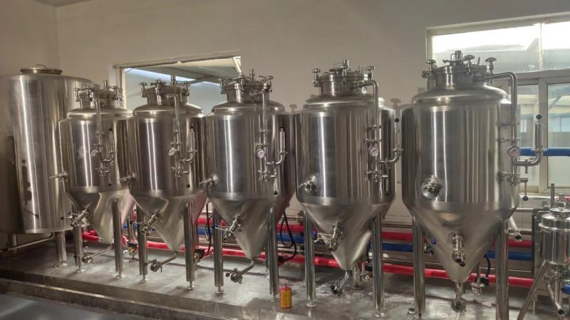 100L Fermenting Tank Fermentor Tank Fermentation Tank Made by Zunhuang