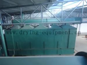 Dwt-20 Series Vegetable Dehydration Dryer Drying Equipment