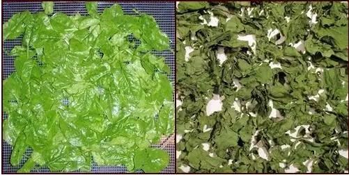 Dehydrating Vegetables Drying Machine
