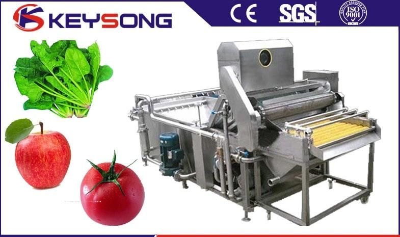 Fruit and Vegetable Air Bubble Surfing Washing Machine