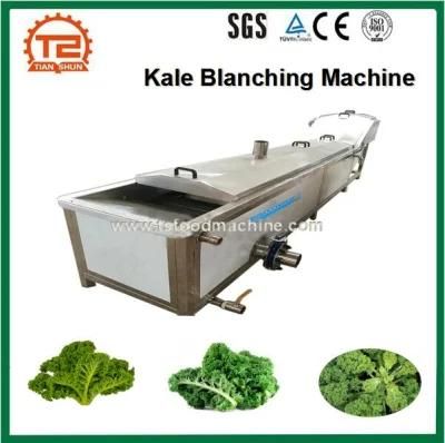 Vegetable Sterilization Line and Vegetable Kale Blanching Machine