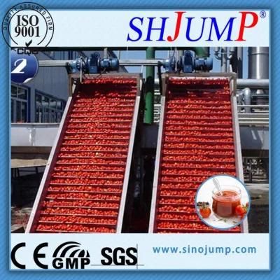 Large Capacity Tomato Paste Production Line Machine Plant