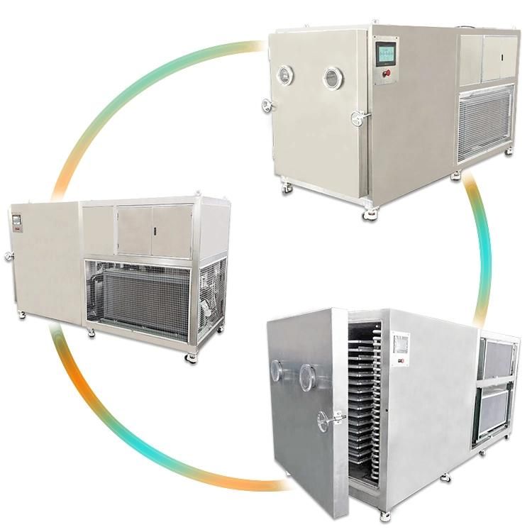 Lyophilizer Price Commercial Meat Freeze Dryer Vacuum Lyophilizer Equipment
