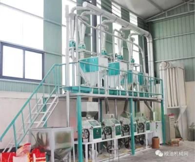 20 Tons/24 Hours Automatic Maize Roller Mill