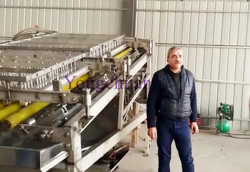 High Quality of Shrimp Peeling Machine with Two Years Warranty
