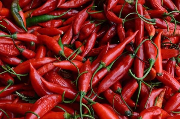 Automatic Vegetable Dryer Machine Commercial Pepper Drying Machine