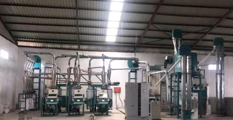 Hongdefa 20-30t/24h Corn Grits Corn Mill Machine for Kaduna Nigeria