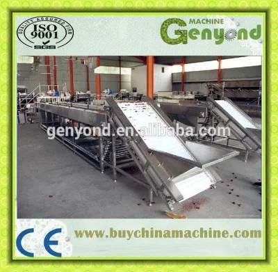 Top Quality Complete Fresh Fruits Sorting Line