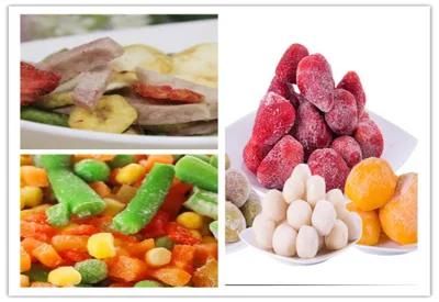New Equipment for Fruit and Vegetable Freeze Drying Machine