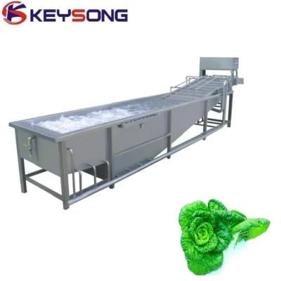 Large Capacity Root Vegetables Processing Machinery Washer