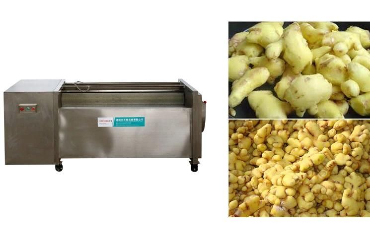 Brush Gingers Peeling Machinery Ginger Peeling and Washing Machine