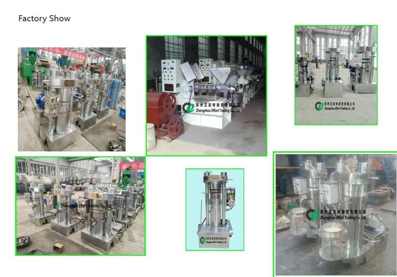 Top Quality SS304 Hydraulic Oil Press Used for Sesame/Peanuts/Nuts/Pumpkin Seeds