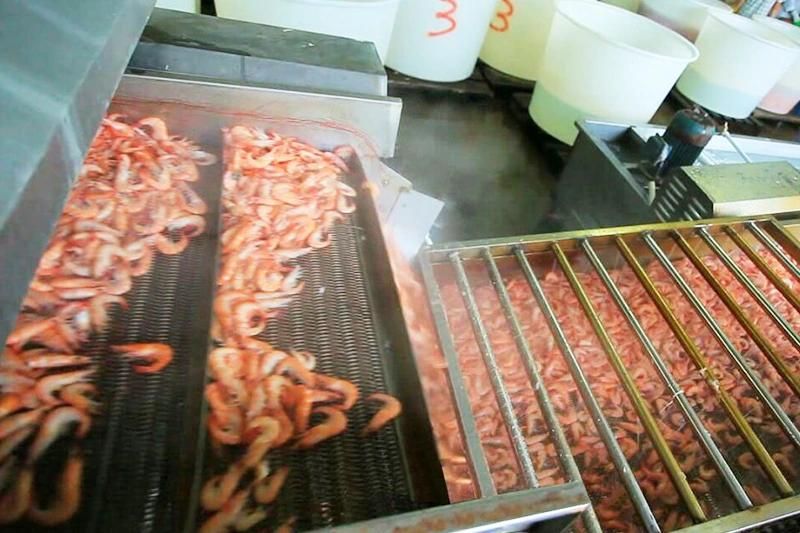 Prawn Blanching and Cooking Production Machine