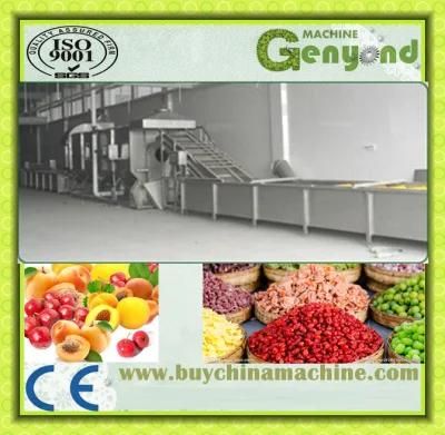 Complete Dried Fruit Production Line