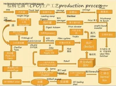 China Henan Huatai Machinery Product Palm Fruit Oil Equipment