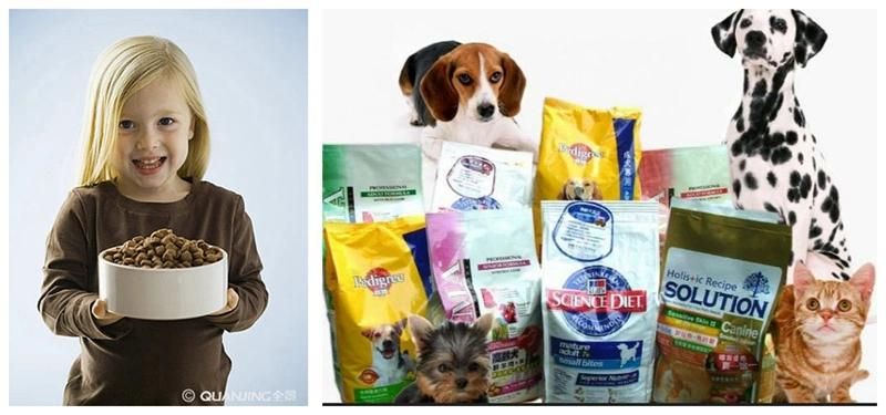 China Stainless Steel Pet Dog Food Extruder Manufacture Price