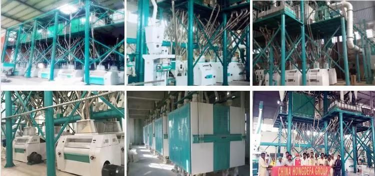Egypt Running 60t Wheat Flour Milling Machinery