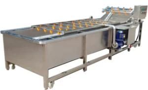 Seafood, Cray, Cherry Tomato, Yellow Peaches Ozone Bubble Cleaning Equipment