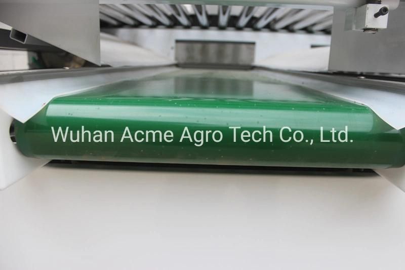 Stainless Steel Potato Grader Used to Vegetable and Potato Grading Machine Potato Sorter for Sale