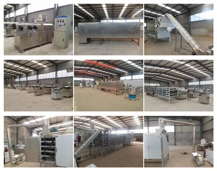 Bread Crumbs Crushing Manufactur Plant Extruder Processing Line