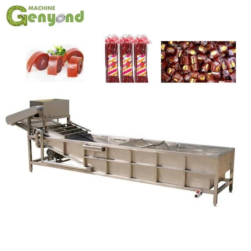 Genyond Brand Fruit Leather Processing Machine