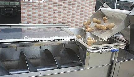 Taro Washing & Peeling Machine